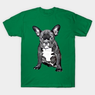 Sad Doggy Eyes T-Shirt